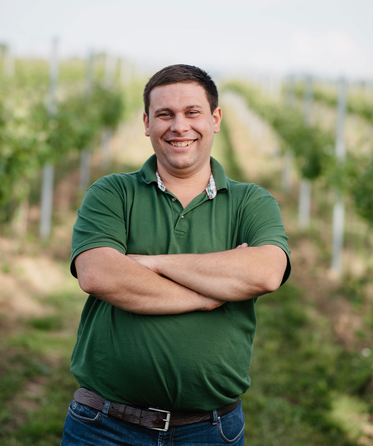 rogl weinbau armin rogl